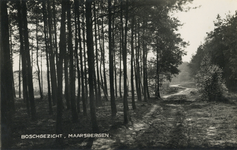 602906 Gezicht op een bosweg te Maarsbergen (gemeente Maarn).